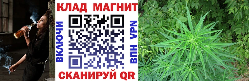 Купить наркотики цена Подпорожье MEGA ССЫЛКА  Меф  Кокаин  LSD-25 