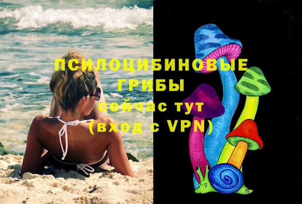 дурь Нефтекумск