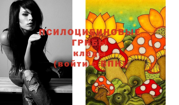 мет Нея