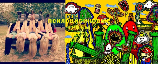 дурь Нефтекумск